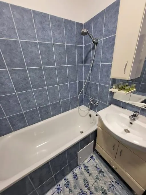 Wishy Washy House Apartman Debrecen 0*,